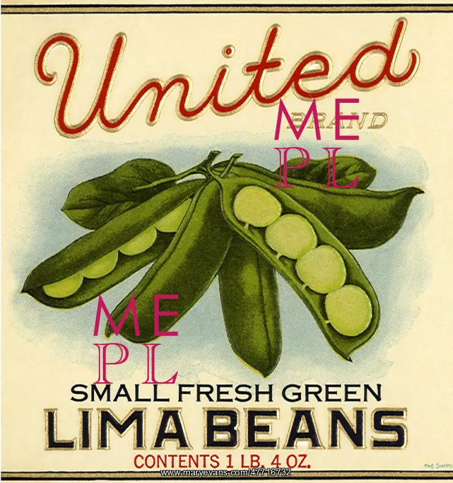  : Lima Bean Label