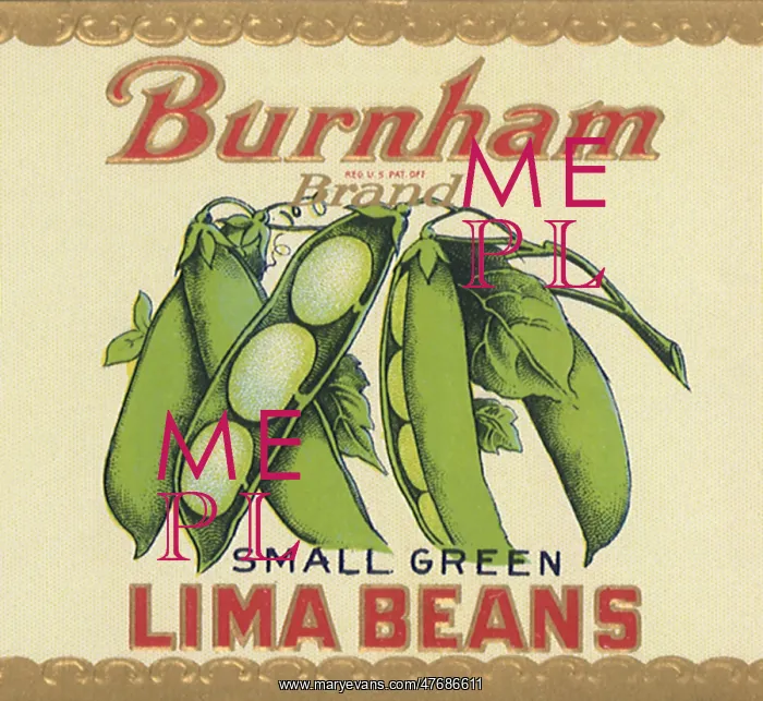  : Lima Beans