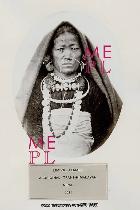 : Limboo female, aboriginal, Trans-Himalayan, Nipal, Nepal : Limboo female, aboriginal, Trans-Himalayan, Nipal, Nepal