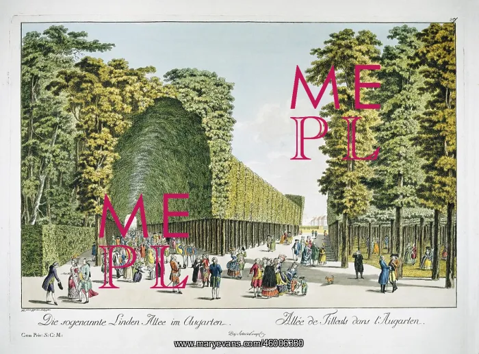 : Lime tree avenue in the Augarten : Lime tree avenue in the Augarten