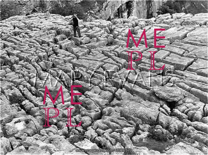 : LIMESTONE PAVEMENT : LIMESTONE PAVEMENT