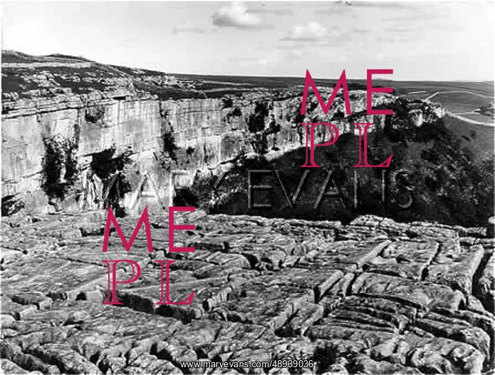 : LIMESTONE PAVEMENT : LIMESTONE PAVEMENT