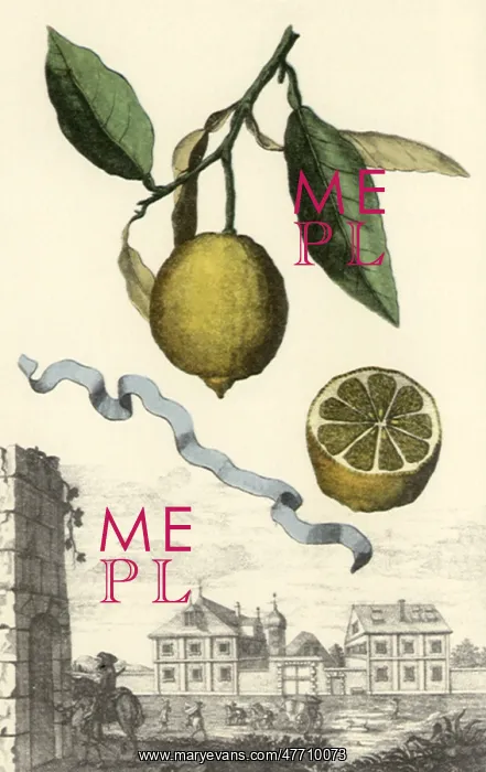  : Limon da Calabra