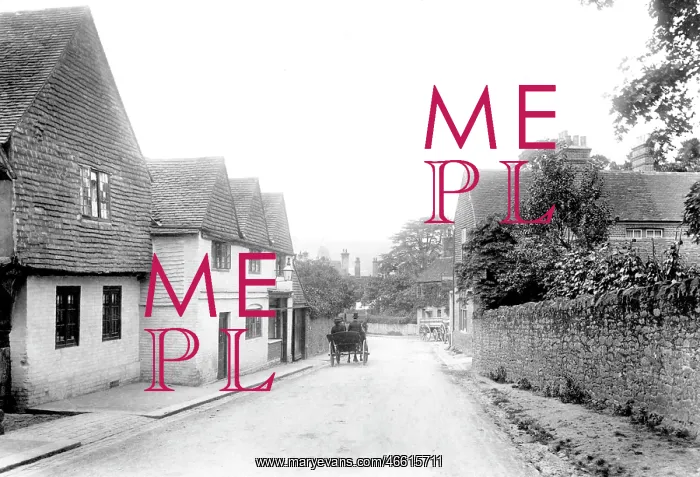  : Limpsfield, Village 1906
