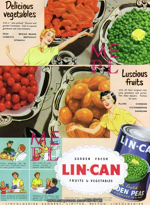 : Lin-Can advertisement, 1953 : Lin-Can advertisement, 1953