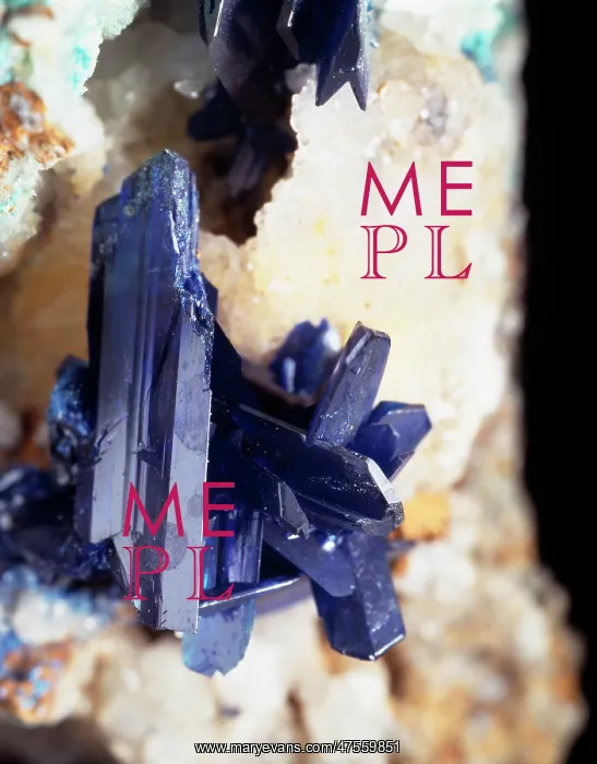 : Linarite is a bright azure blue colour with crystal growth to nearly 25mm : Linarite is a bright azure blue colour with crystal growth to nearly 25mm