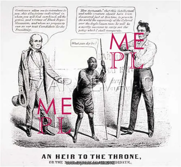 : LINCOLN'S CANDIDATURE : LINCOLN'S CANDIDATURE