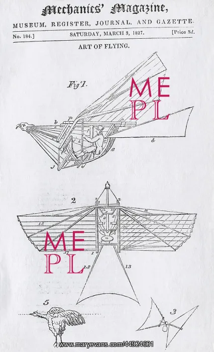 : A Line-Drawing of Thomas Walker's First Design for a Fly? : A Line-Drawing of Thomas Walker's First Design for a Fly?