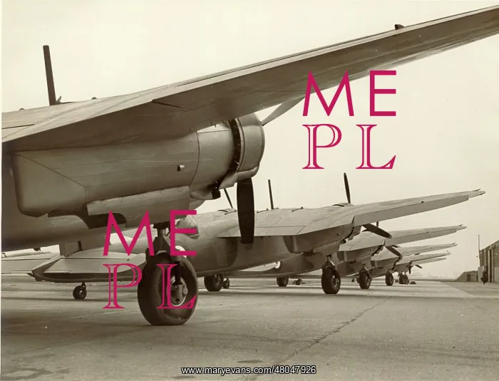 : A line-up of Blackburn B-26 Botha Is : A line-up of Blackburn B-26 Botha Is