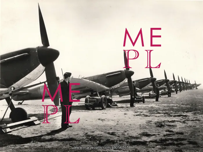 : A line-up of Supermarine Spitfire Is : A line-up of Supermarine Spitfire Is