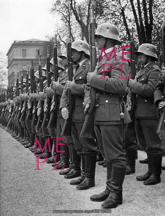 : Lined up honor guards of the Luftwaffe in the 30s