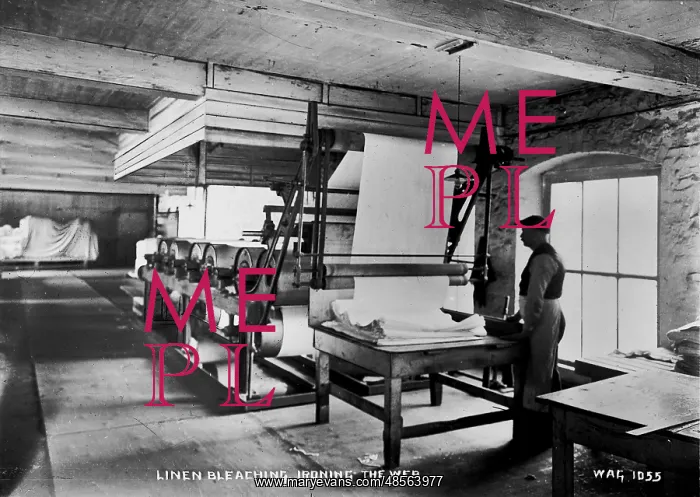 : Linen Bleaching, Ironing the Web : Linen Bleaching, Ironing the Web