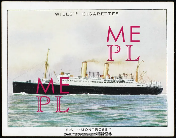 : Liner Montrose : Liner Montrose