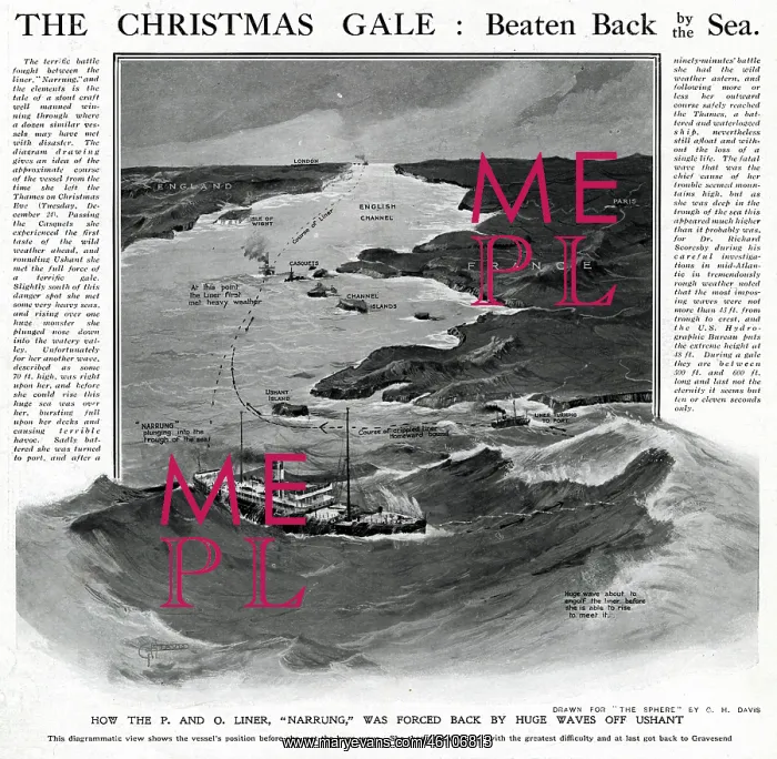 : Liner Narrung in a gale by G. H. Davis : Liner Narrung in a gale by G. H. Davis