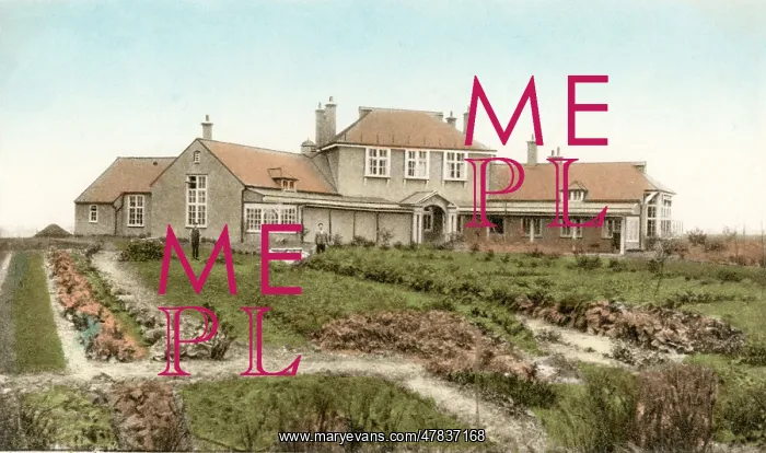 : Lingfield Epileptic Colony : Lingfield Epileptic Colony