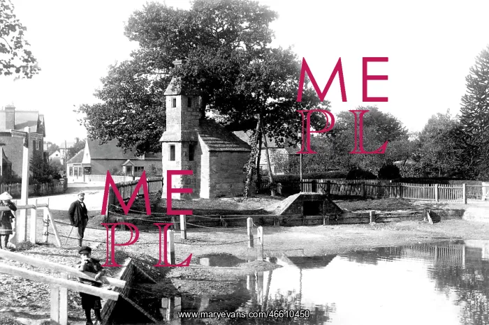  : Lingfield, Old Cage and Pond 1904