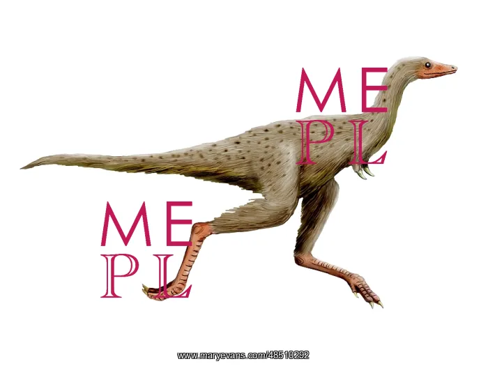 : Linhenykus dinosaur : Linhenykus dinosaur
