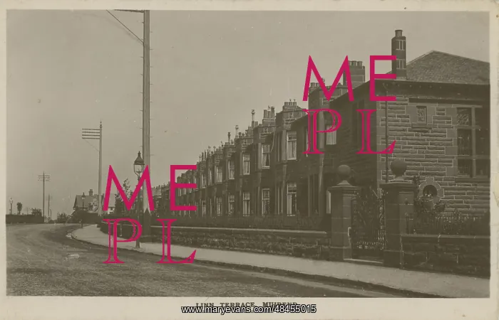 : Linn Terrace, Clarkston Road : Linn Terrace, Clarkston Road