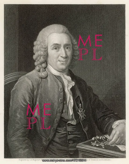  : LINNAEUS. CARL VON LINNE, ka LINNAEUS (1707 - 1778), Swedish naturalist