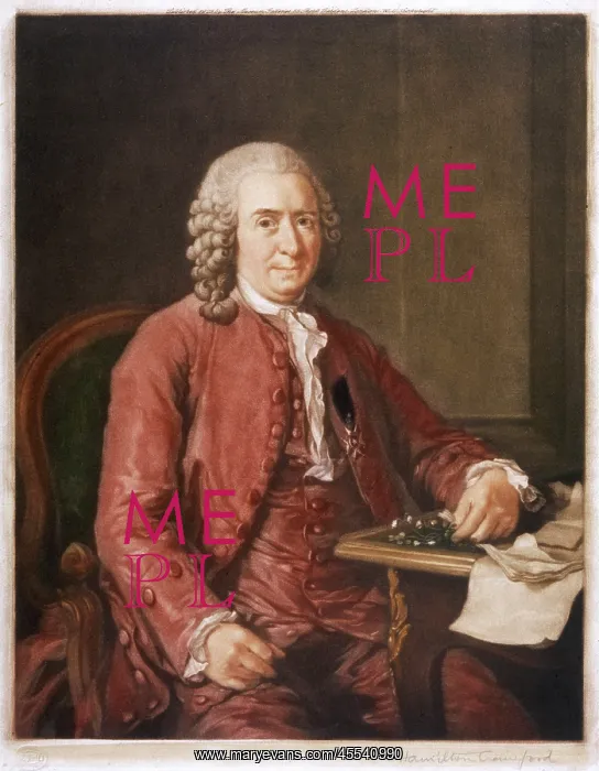 : Linnaeus - Botanist - Roslin : Linnaeus - Botanist - Roslin