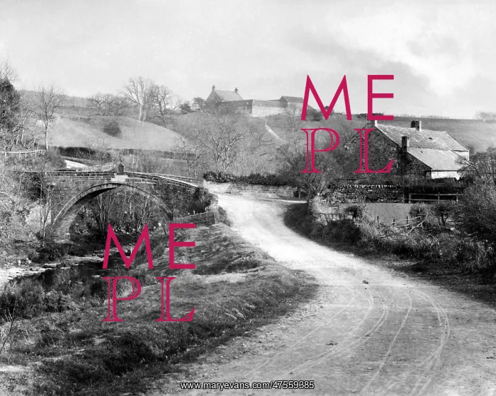 : Linold's Bridge over the Devil's Water near Hexham : Linold's Bridge over the Devil's Water near Hexham