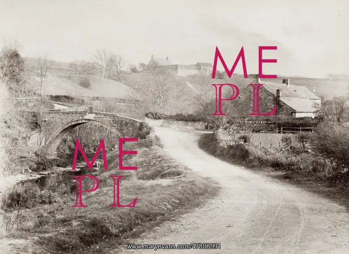 : Linolds Bridge on the Devils Water near Hexham : Linolds Bridge on the Devils Water near Hexham