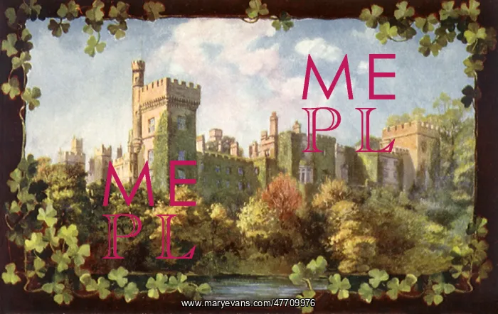 : Linsmore Castle : Linsmore Castle