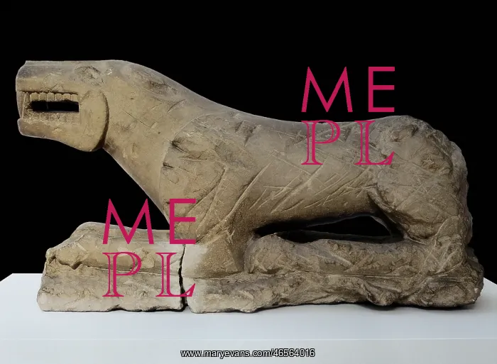 : THE LION OF BAENA : THE LION OF BAENA