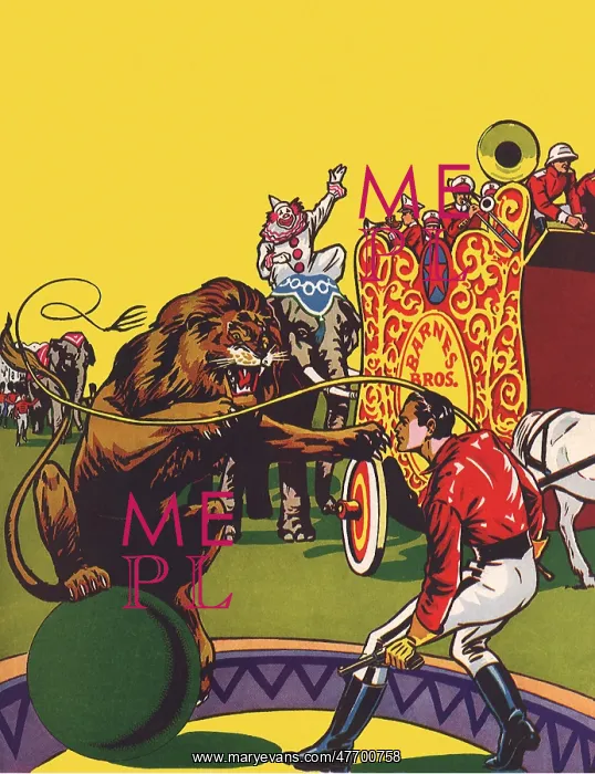  : Lion on Ball, Trainer