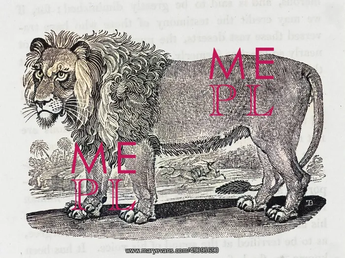 : LION (BEWICK) : LION (BEWICK)