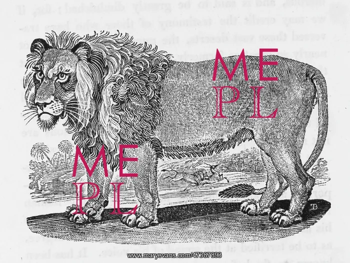 : LION (BEWICK) : LION (BEWICK)