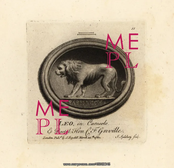 : Lion in cornelian and dactylotheca : Lion in cornelian and dactylotheca