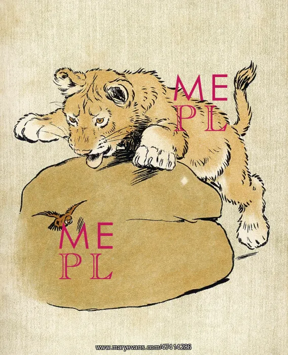 : LION CUB ALDIN 1907 : LION CUB ALDIN 1907