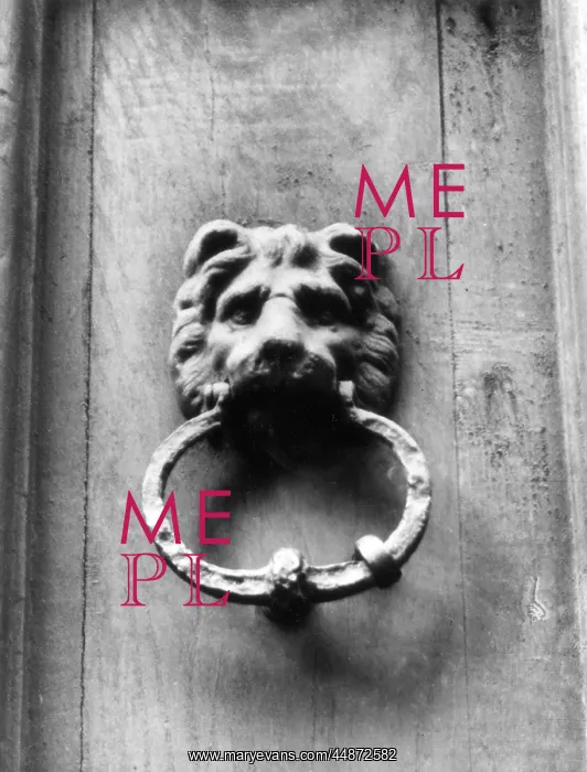 : LION DOORKNOCKER : LION DOORKNOCKER