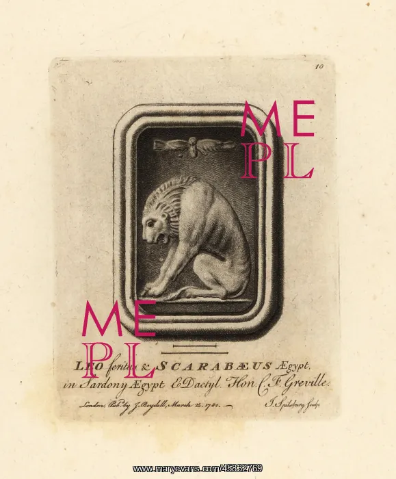 : Lion and Egyptian scarab beetle : Lion and Egyptian scarab beetle
