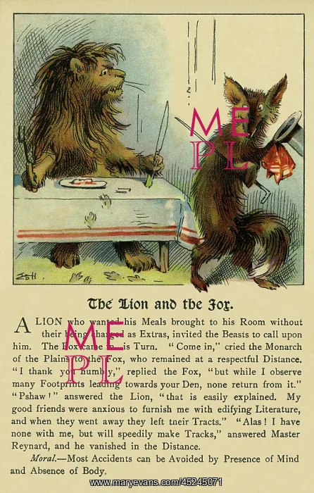 : The lion & the fox : The lion & the fox