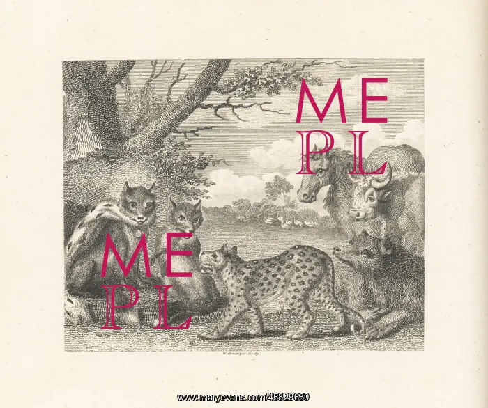 : The Lion, the Fox and the Geese : The Lion, the Fox and the Geese