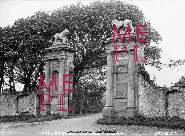 : Lion Gates, Castlerock Castle : Lion Gates, Castlerock Castle