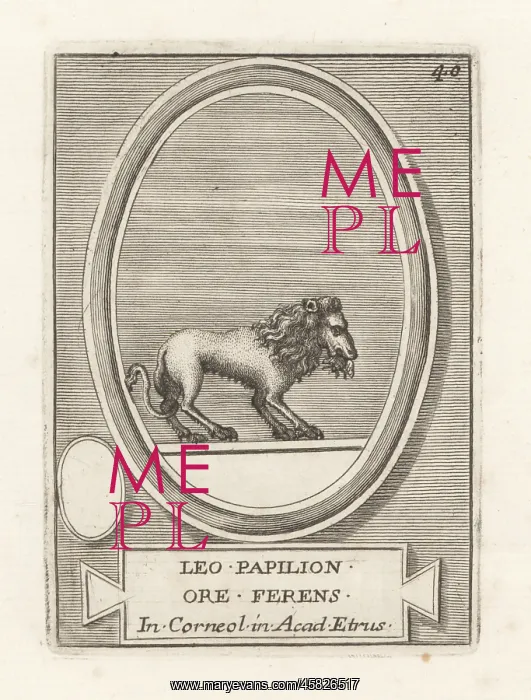 : A lion holding a butterfly in its mouth : A lion holding a butterfly in its mouth