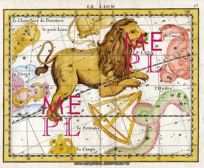  : Lion - Leo