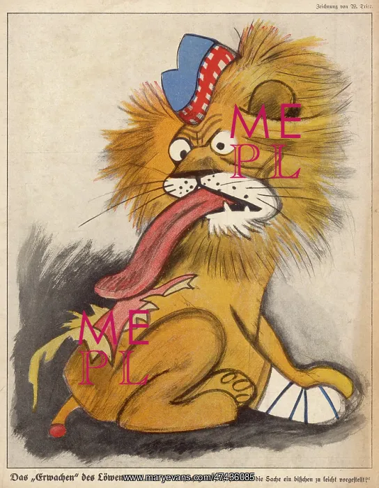 : LION LICKS WOUNDS : LION LICKS WOUNDS