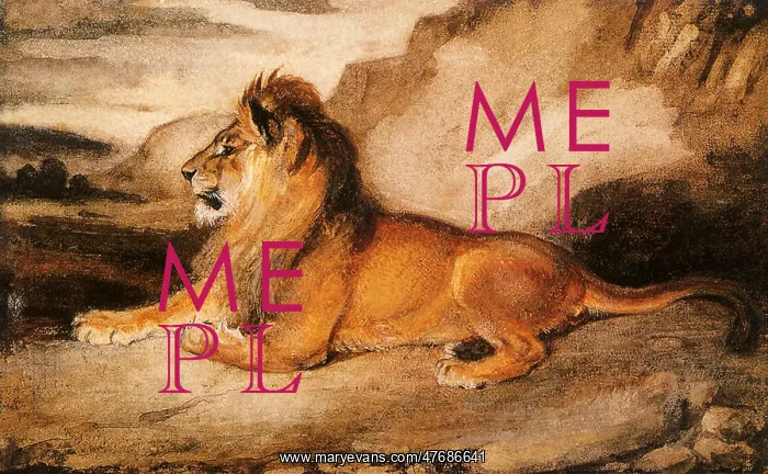  : Lion Lying on Ground
