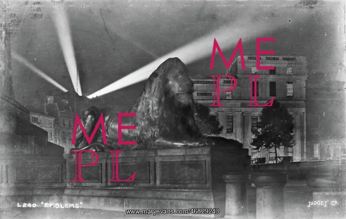 : The Lion at Night : The Lion at Night