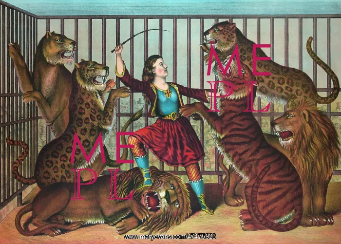 : The lion queen : The lion queen