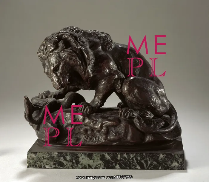: Lion and a snake : Lion and a snake