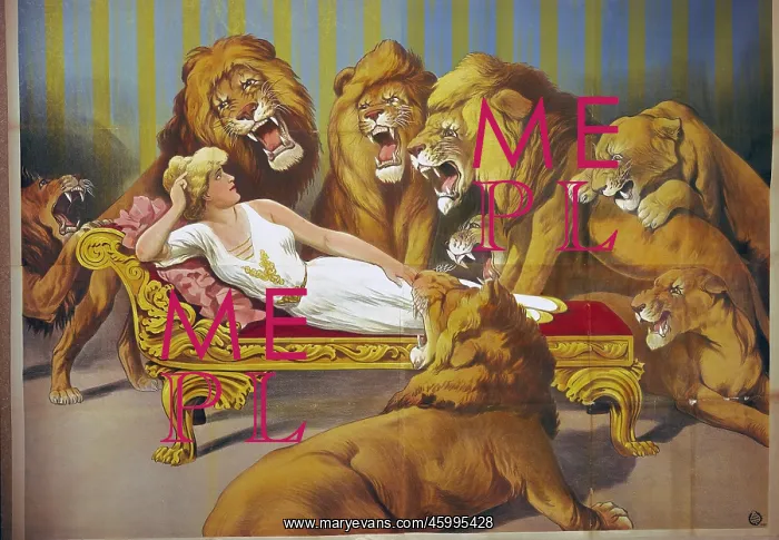 : Lion tamer : Lion tamer