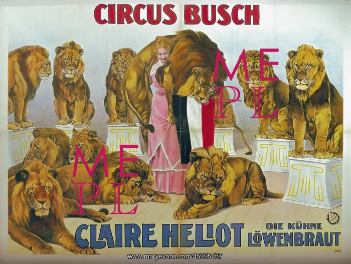 : Lion tamer : Lion tamer