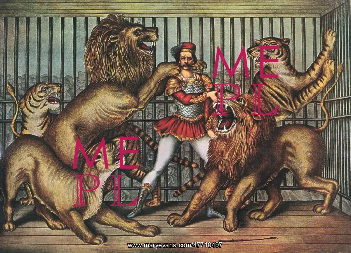  : Lion Tamer