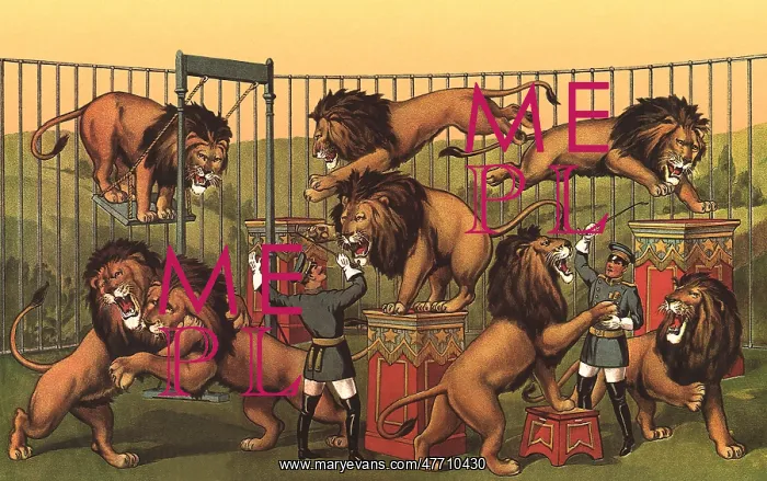 : Lion Taming