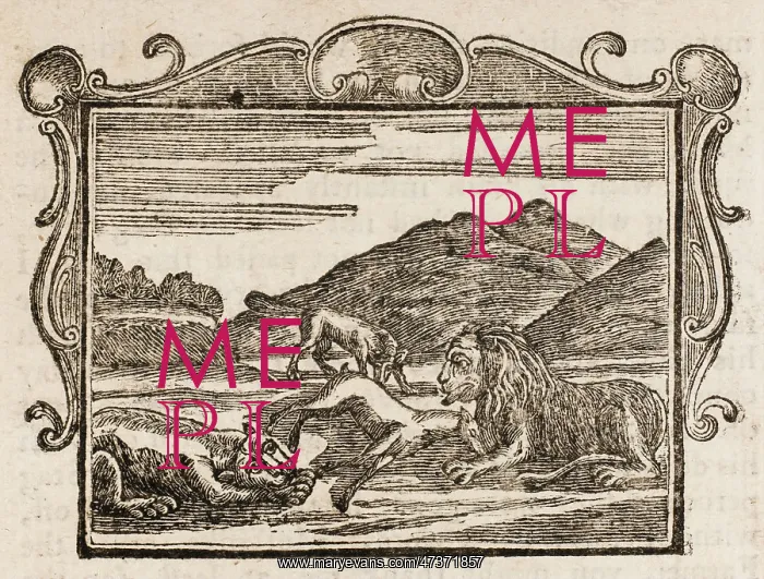 : The Lion, Tiger - Fox : The Lion, Tiger - Fox